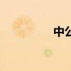 中公（關于中公的介紹）