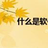 什么是軟件工程（什么是軟件工程）