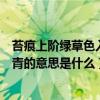 苔痕上階綠草色入簾青的意思是什么（苔痕上階綠草色入簾青的意思是什么）