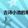 古詩小池的意思講解（古詩小池的意思是什么）