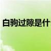 白駒過隙是什么意思（白駒過隙是什么意思）