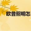 歐普照明怎么樣（價格為什么比別的貴）