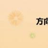 方向盤（什么是力反饋）