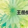 王岳倫（關于王岳倫的介紹）