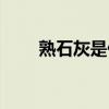 熟石灰是什么東西（熟石灰是什么）