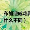 布加迪威龍屬于（賓利和布加迪威龍的標志有什么不同）