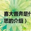 喜大普奔是什么意思（關于喜大普奔是什么意思的介紹）
