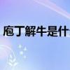 庖丁解牛是什么意思（庖丁解牛是什么意思）
