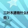 三葉木通有什么作用有什么功效（五葉木通的功效作用有哪些）