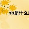 nb是什么意思啊（NB是什么意思！）