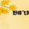 野蜂飛舞（關于野蜂飛舞的介紹）