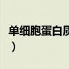 單細胞蛋白質飼料視頻（單細胞蛋白質是什么）