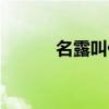 名露叫什么（名露是干什么的）