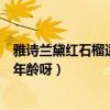 雅詩蘭黛紅石榴適合的年齡（雅思蘭黛紅石榴水等適合什么年齡呀）