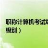 職稱計算機考試級別怎么劃分（全國職稱計算機考試有哪些級別）