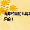 山海經里的九尾狐的來歷（《山海經》中九尾狐的傳說是怎樣的）