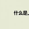 什么是上投?（什么是上投基金）