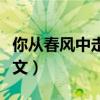 你從春風中走來歌詞（你從春風中走來歌詞全文）