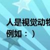人是視覺動物什么意思（視覺動物是什么意思例如：）
