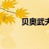 貝奧武夫（關于貝奧武夫的介紹）