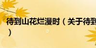 待到山花爛漫時(關于待到山花爛漫時的介紹)