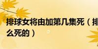 排球女將由加第幾集死(排球女將里由加是怎么死的)
