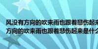 風沒有方向的吹來雨也跟著悲傷起來出自哪首歌曲(風沒有方向的吹來雨也跟著悲傷起來是什么歌)