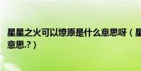 星星之火可以燎原是什么意思呀(星星之火可以燎原.是什么意思.?)
