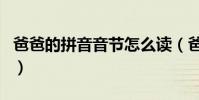 爸爸的拼音音節怎么讀(爸爸的拼音是幾聲的)
