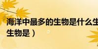 海洋中最多的生物是什么生物(海洋中最多的生物是)