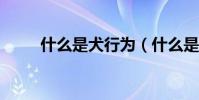 什么是犬行為(什么是犬儒主義?)