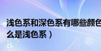 淺色系和深色系有哪些顏色(什么是深色系什么是淺色系)