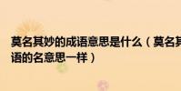 莫名其妙的成語意思是什么(莫名其妙的名的意思和哪個成語的名意思一樣)