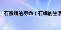 石蠶蛾的壽命(石蛾的生活習性是怎樣的)