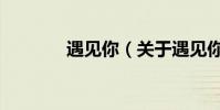 遇見你(關于遇見你的介紹)