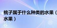 桃子屬于什么種類的水果(桃子屬于什么種類水果)