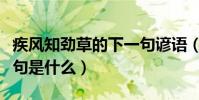 疾風知勁草的下一句諺語(疾風知勁草的下一句是什么)