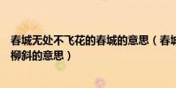 春城無處不飛花的春城的意思(春城無處不飛花寒食東風御柳斜的意思)