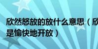 欣然怒放的放什么意思(欣然怒放的意思是不是愉快地開放)