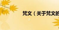 梵文(關于梵文的介紹)
