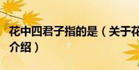 花中四君子指的是(關于花中四君子指的是的介紹)