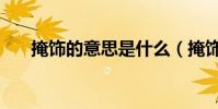 掩飾的意思是什么(掩飾的意思是什)