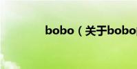 bobo(關于bobo的介紹)