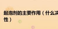 起泡劑的主要作用(什么決定了起泡劑的起泡性)