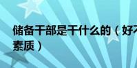 儲備干部是干什么的(好不好 需要具備哪些素質)