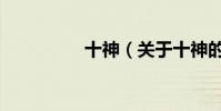 十神(關于十神的介紹)