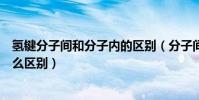 氫鍵分子間和分子內的區別(分子間氫鍵和分子內氫鍵有什么區別)