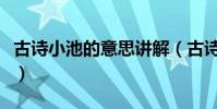 古詩小池的意思講解(古詩小池的意思是什么)