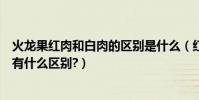 火龍果紅肉和白肉的區別是什么(紅肉火龍果和白肉火龍果有什么區別?)