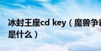 冰封王座cd key(魔獸爭霸冰封王座cd-key是什么)